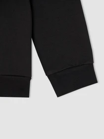 Худи и свитшоты DeFacto модель V0038A6-BK54 Фото