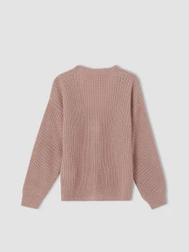 Светри та кардигани DeFacto Regular Fit Basic модель U6182A6-PN313 Фото