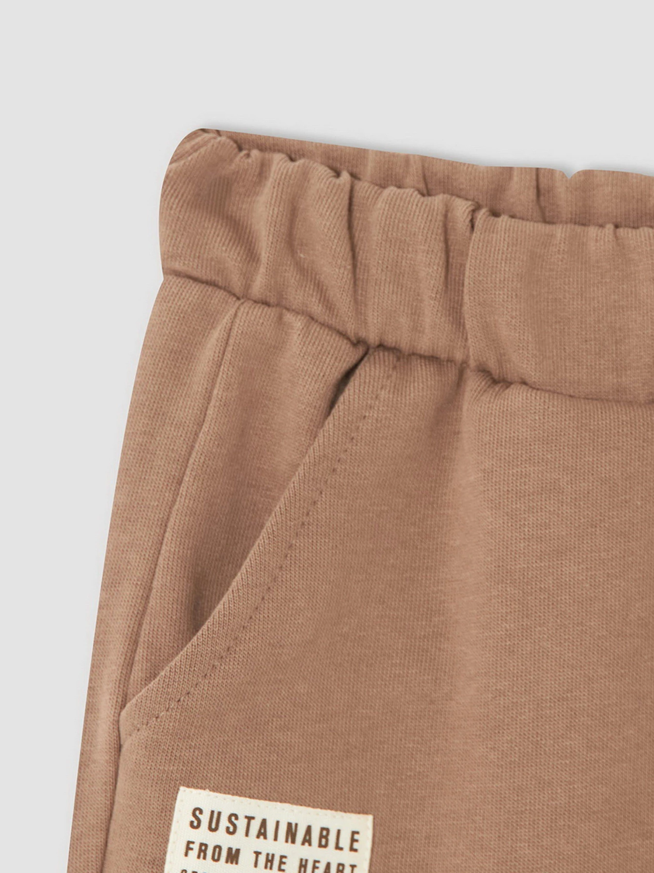 Брюки DeFacto Jogger модель V3815A6-BN299 Брюки DeFacto Jogger модель V3815A6-BN299 Фото