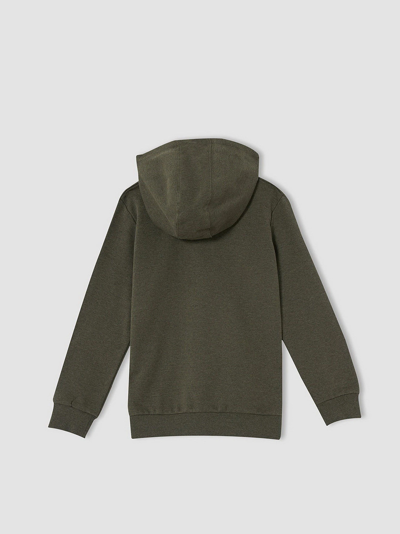 Худі та світшоти DeFacto модель V7932A6-GN222 Фото