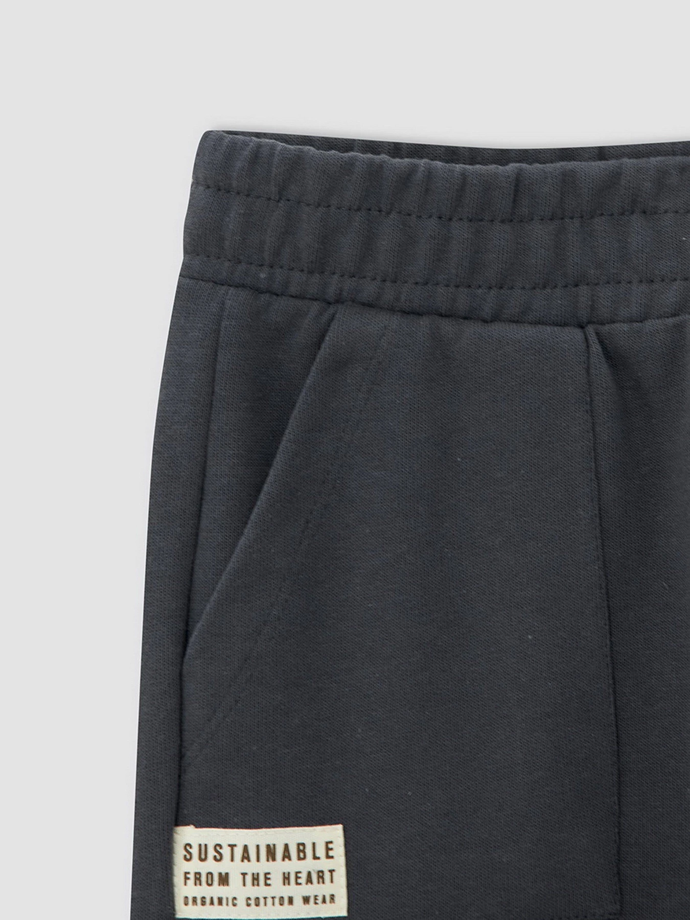 Брюки DeFacto модель V3811A6-AR191 Брюки DeFacto модель V3811A6-AR191 Фото