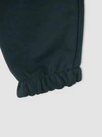 Брюки DeFacto модель V1221A6-GN126 Фото