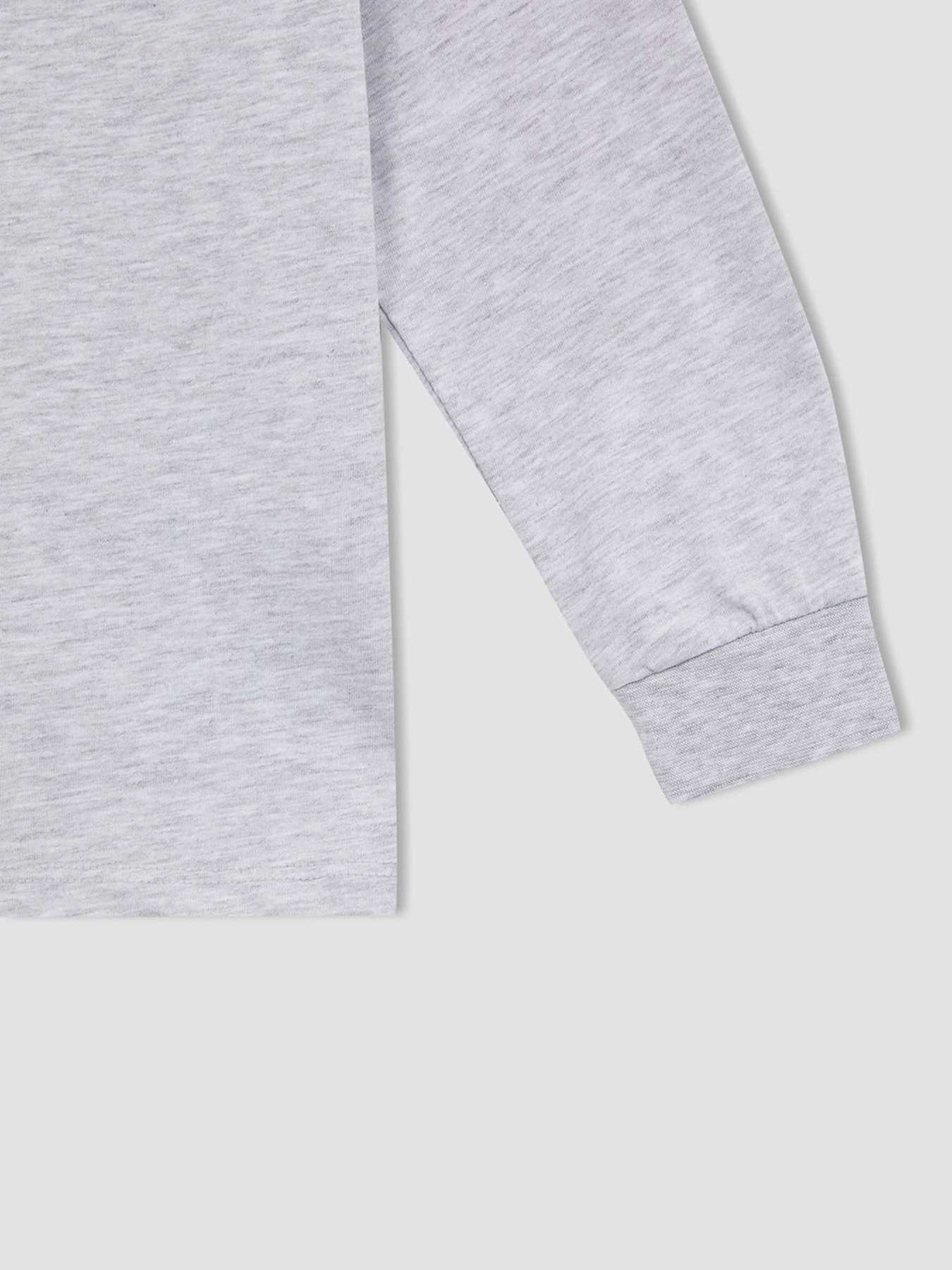 Худі та світшоти DeFacto модель W7539A6-GR400 Худі та світшоти DeFacto модель W7539A6-GR400 Фото
