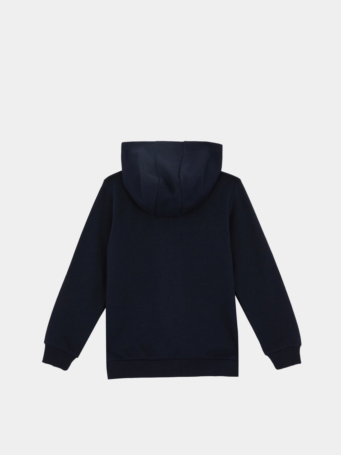 Худи и свитшоты DeFacto модель Y0943A6-BE458 Фото