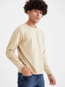 Худи и свитшоты DeFacto модель V9284AZ-BG662 Фото