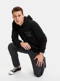Худи и свитшоты DeFacto модель S3988AZ-BK27 Фото