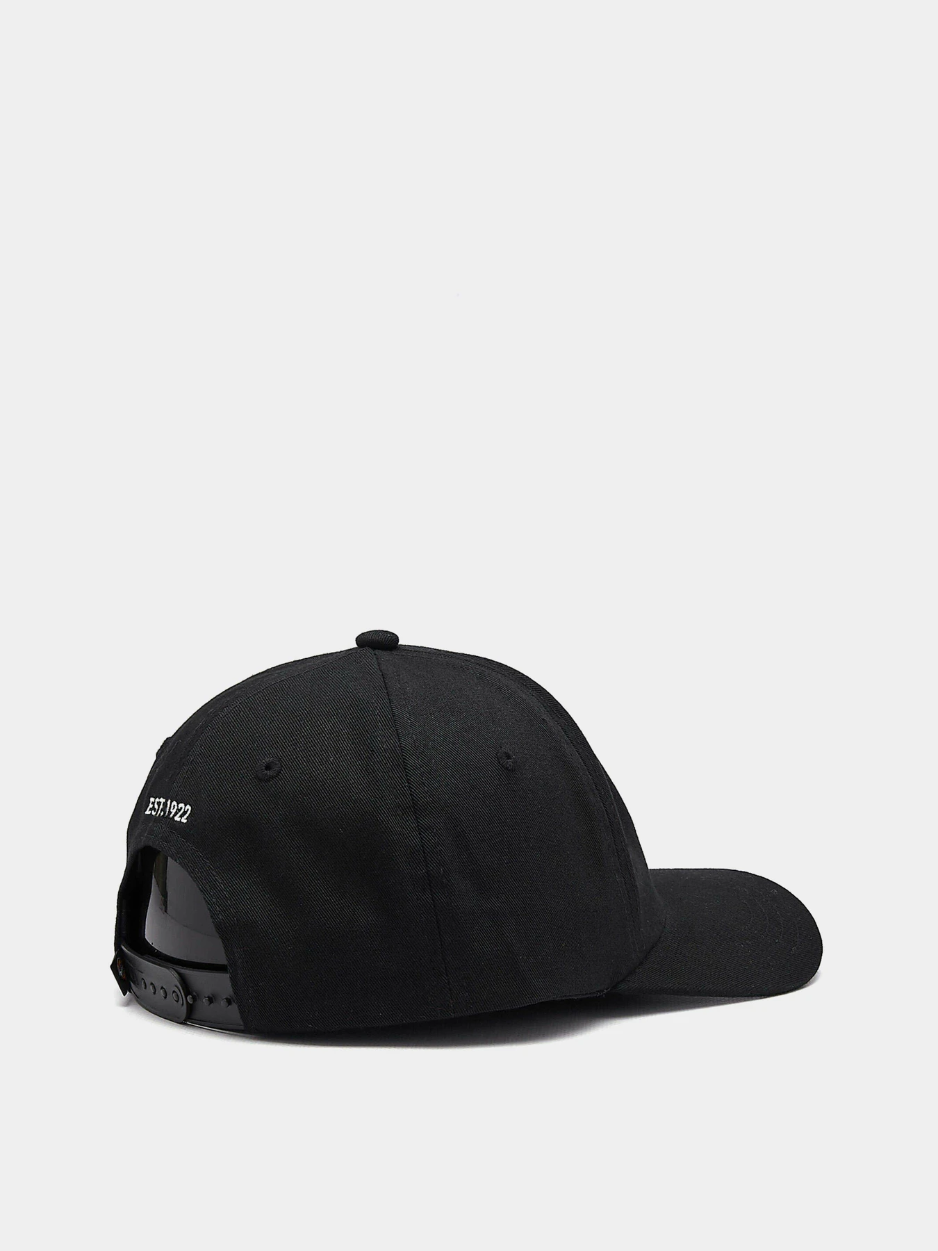 Шапки и кепки Dickies Hardwick модель DK0A4TKVBLK1 Фото
