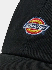 Шапки и кепки Dickies Hardwick модель DK0A4TKVBLK1 Фото