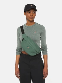 Сумки Dickies Duck Canvas модель DK0A4XOYH151 Фото
