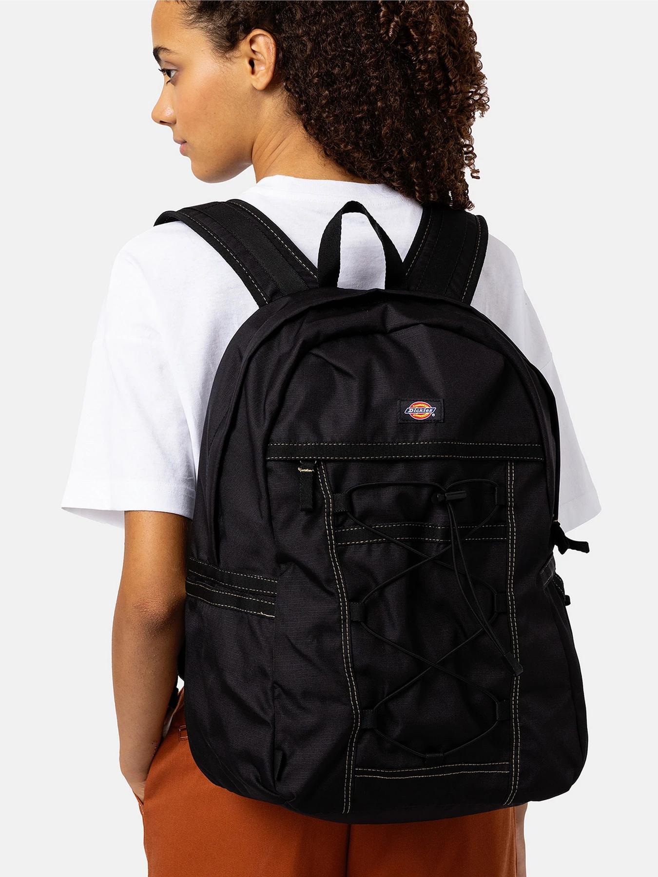 Рюкзаки Dickies Ashville модель DK0A4Y33BLK1 Фото