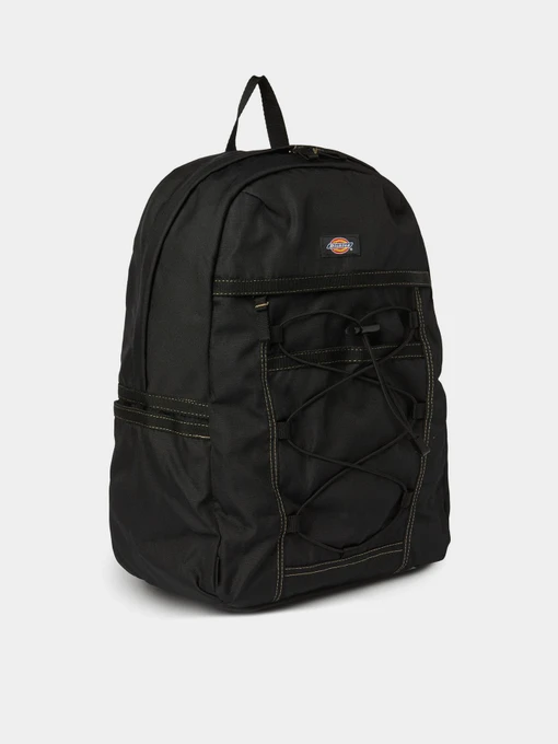 Рюкзаки Dickies Ashville модель DK0A4Y33BLK1 Фото
