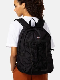 Рюкзаки Dickies Ashville модель DK0A4Y33BLK1 Фото