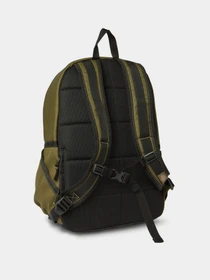Рюкзаки Dickies Ashville модель DK0A4Y33MGR1 Фото