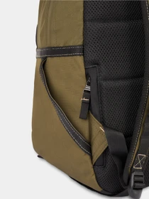 Рюкзаки Dickies Ashville модель DK0A4Y33MGR1 Фото