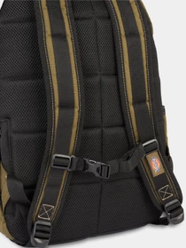 Рюкзаки Dickies Ashville модель DK0A4Y33MGR1 Фото