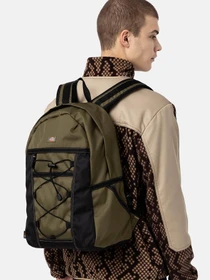 Рюкзаки Dickies Ashville модель DK0A4Y33MGR1 Фото