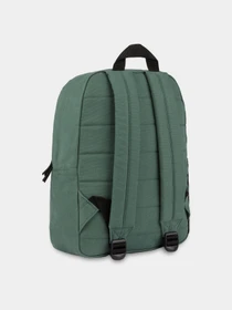 Рюкзаки Dickies Duck Canvas модель DK0A4YOCH151 Фото