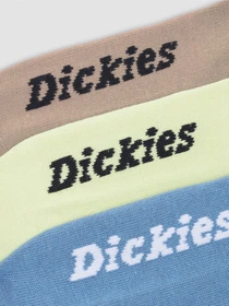 Шкарпетки та гольфи Dickies No Show модель DK0A4Z2LH141 Фото
