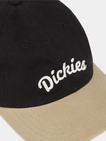 Шапки та кепки Dickies Seasonal модель DK0A4YPABLK1 Фото