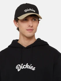 Шапки та кепки Dickies Seasonal модель DK0A4YPABLK1 Фото