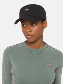Шапки та кепки Dickies Fincastle модель DK0A4YPCBLK1 Фото