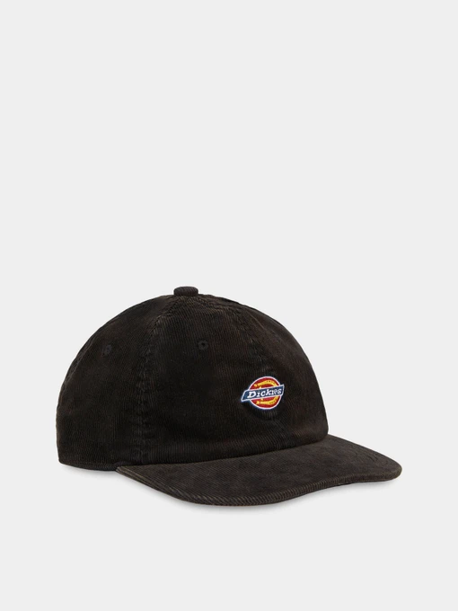Шапки и кепки Dickies Chase City модель DK0A4YPJBLK1 Фото