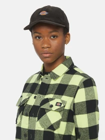 Шапки та кепки Dickies Chase City модель DK0A4YPJBLK1 Фото