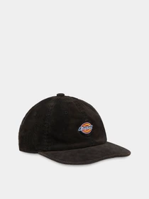 Шапки та кепки Dickies Chase City модель DK0A4YPJBLK1 Фото