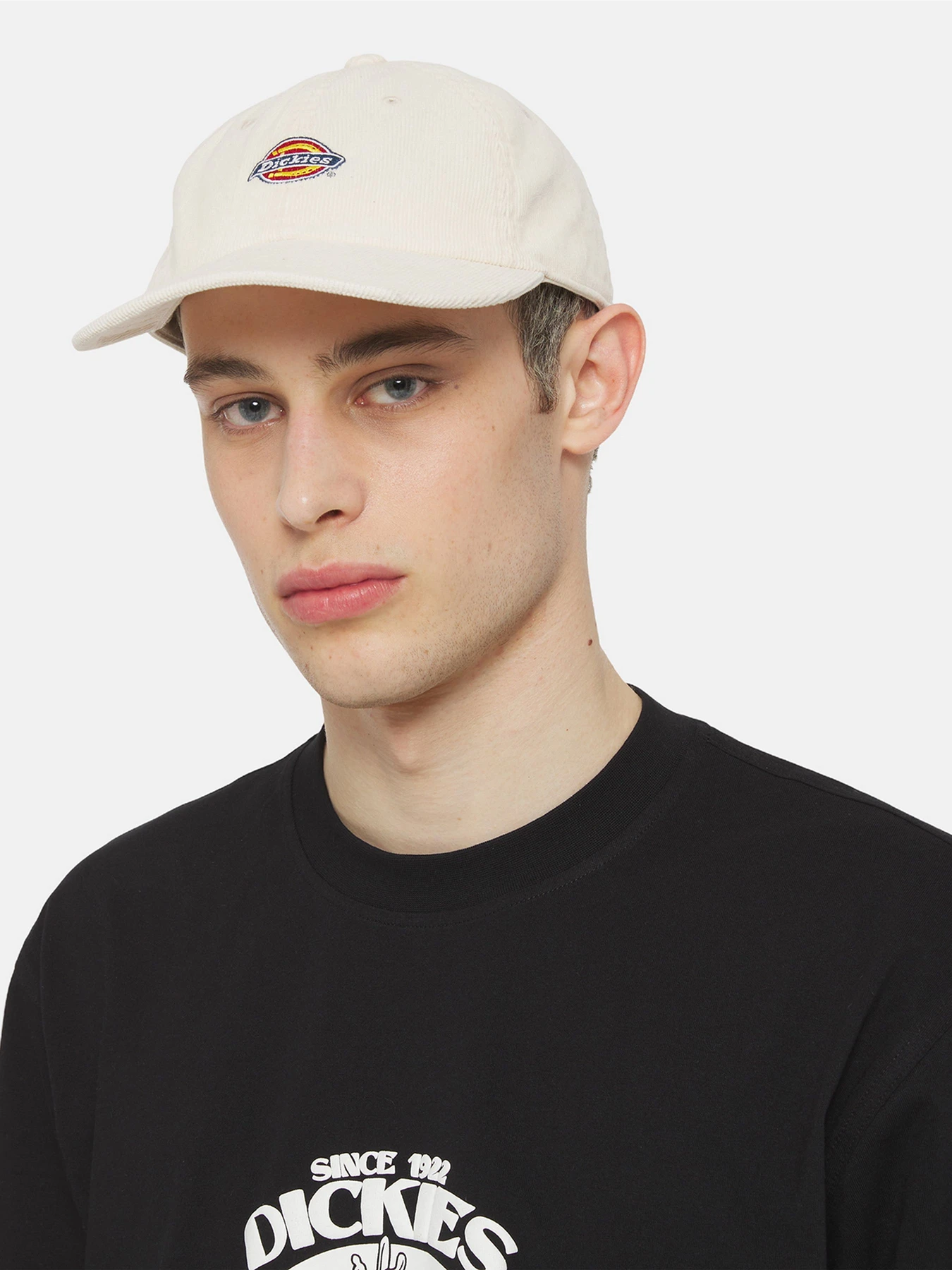 Шапки и кепки Dickies Chase City модель DK0A4YPJF901 Шапки и кепки Dickies Chase City модель DK0A4YPJF901 Фото