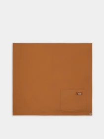 Килимок туристичний Dickies Duck Canvas модель DK0A4YPNBD01 Фото