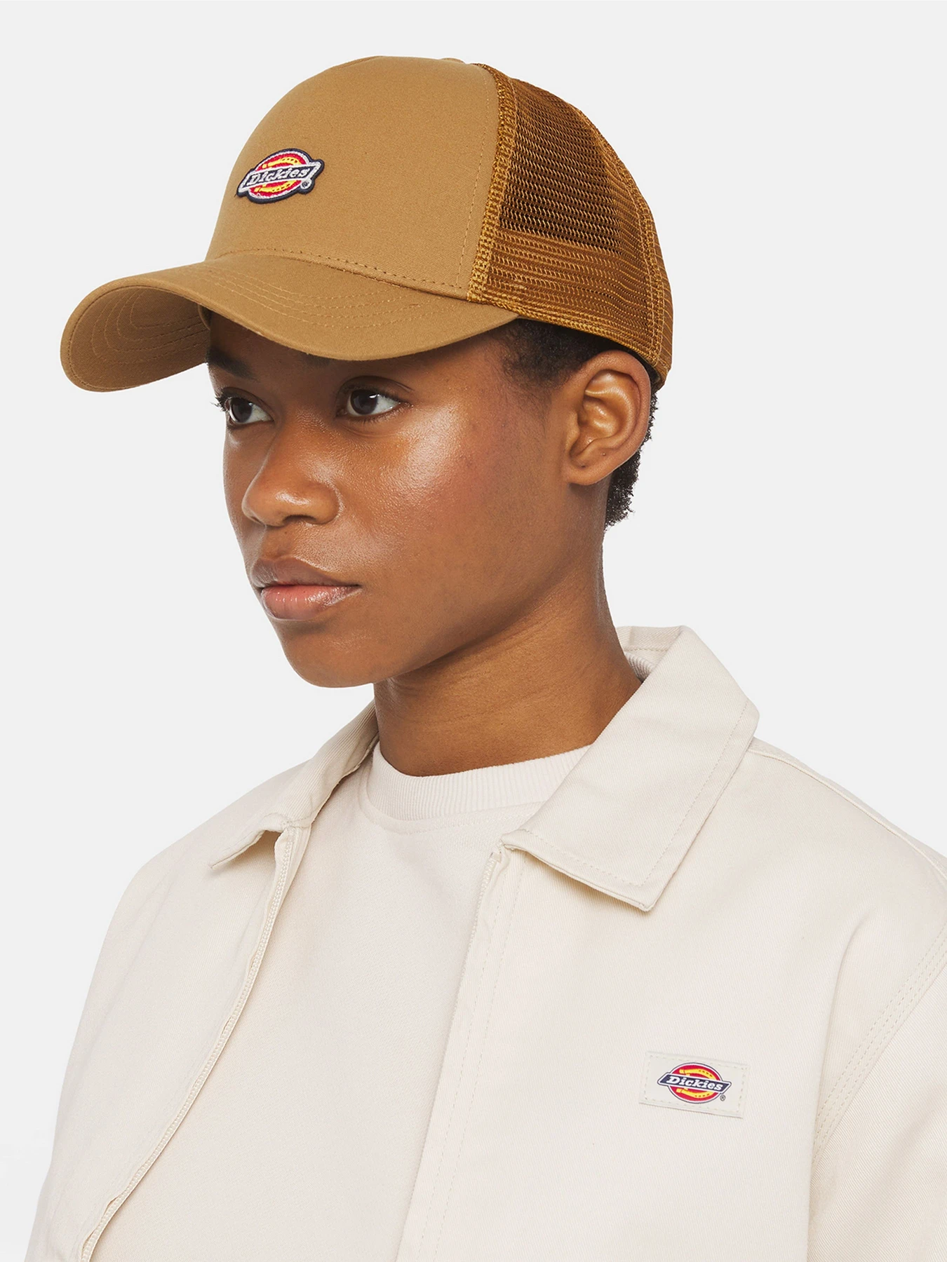 Шапки и кепки Dickies Hanston Trucker модель DK0A4YV3BD01 Фото