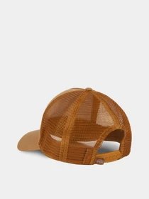 Шапки и кепки Dickies Hanston Trucker модель DK0A4YV3BD01 Фото