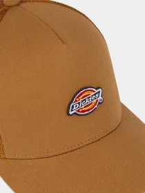 Шапки и кепки Dickies Hanston Trucker модель DK0A4YV3BD01 Фото