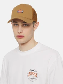 Шапки и кепки Dickies Hanston Trucker модель DK0A4YV3BD01 Фото