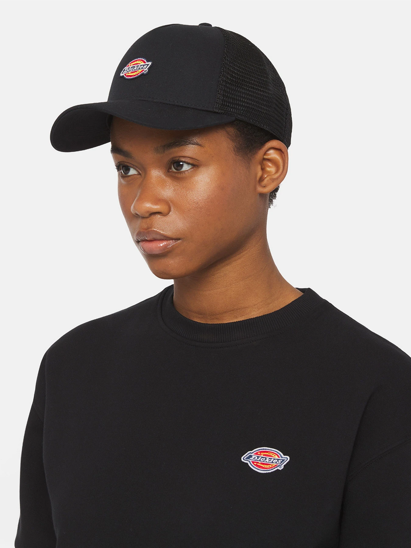 Шапки и кепки Dickies Hanston Trucker модель DK0A4YV3BLK1 Шапки и кепки Dickies Hanston Trucker модель DK0A4YV3BLK1 Фото