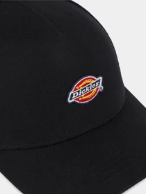 Шапки и кепки Dickies Hanston Trucker модель DK0A4YV3BLK1 Фото