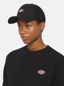 Шапки и кепки Dickies Hanston Trucker модель DK0A4YV3BLK1 Фото