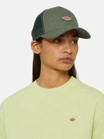 Шапки та кепки Dickies Hanston Trucker модель DK0A4YV3H151 Фото