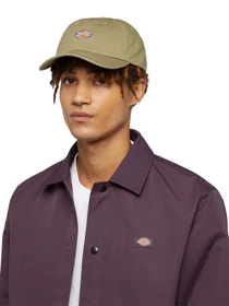 Шапки и кепки Dickies Hardwick модель DK0A4TKV0IP1 Фото
