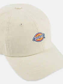 Шапки та кепки Dickies Hardwick модель DK0A4TKVF901 Фото