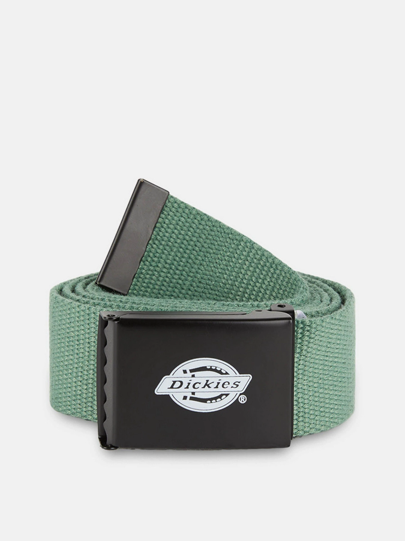 Ремни Dickies Orcutt модель DK0A4X7EOGX1 Ремни Dickies Orcutt модель DK0A4X7EOGX1 Фото