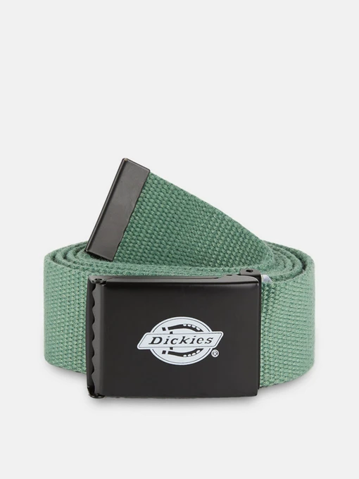 Ремені Dickies Orcutt модель DK0A4X7EOGX1 Фото