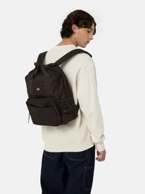 Рюкзаки Dickies Lisbon 21L модель DK0A4X7FDBX1 Фото