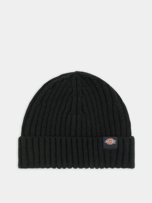 Шапки та кепки Dickies Lockwood модель DK0A4Z2OBLK1 Фото