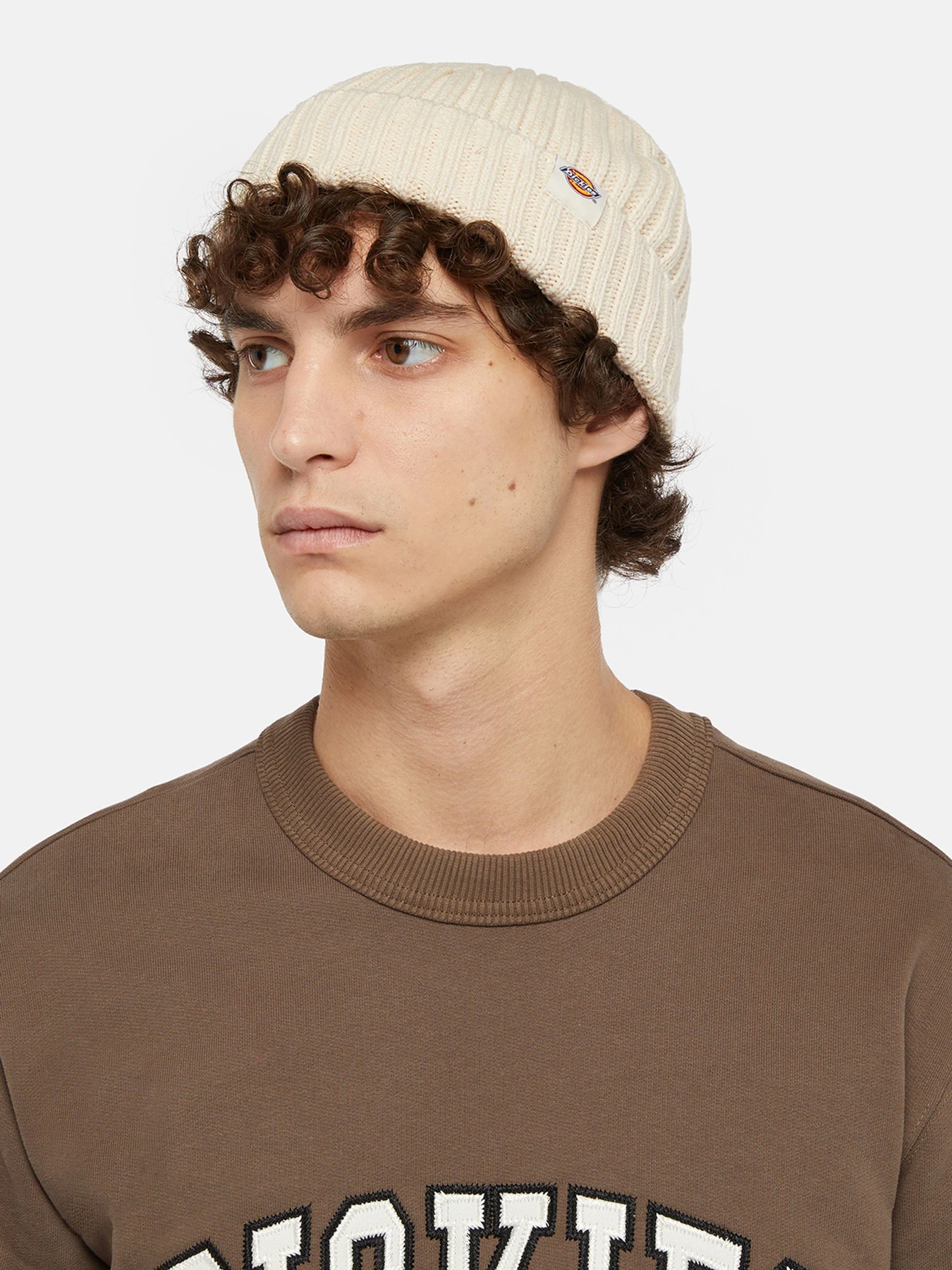 Шапки та кепки Dickies Lockwood модель DK0A4Z2OF901 Шапки та кепки Dickies Lockwood модель DK0A4Z2OF901 Фото
