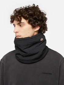 Шарфи та хустки Dickies модель DK0A4Z3BBLK1 Фото