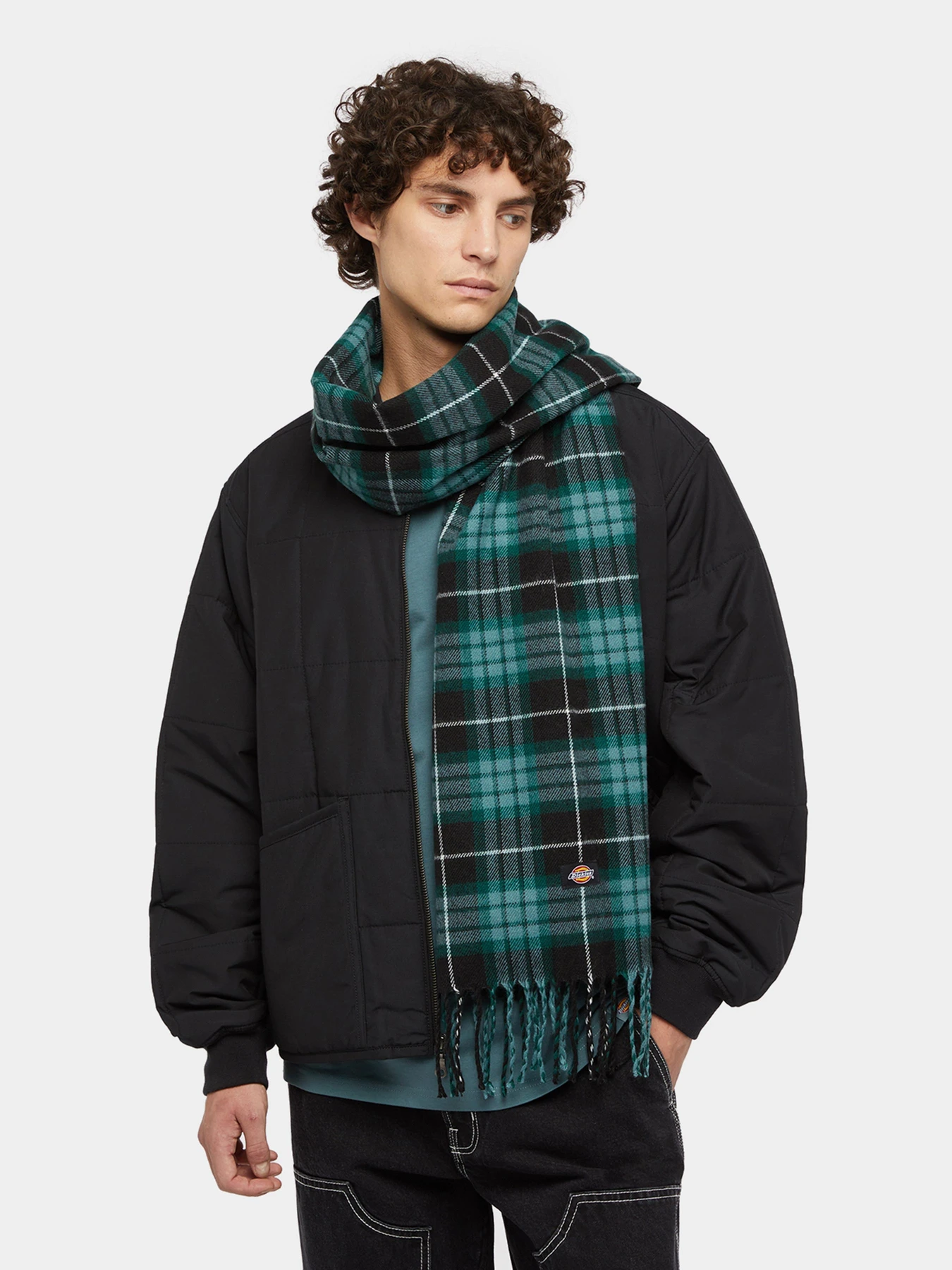 Шарфы и платки Dickies Stevensville модель DK0A4Z3HBLK1 Шарфы и платки Dickies Stevensville модель DK0A4Z3HBLK1 Фото