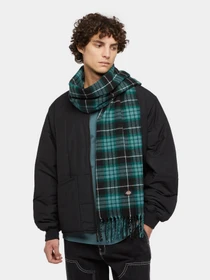 Шарфы и платки Dickies Stevensville модель DK0A4Z3HBLK1 Фото