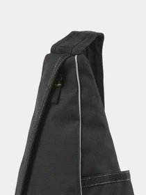 Сумки Dickies Ashville Sling модель DK0A4Z3IBLK1 Фото