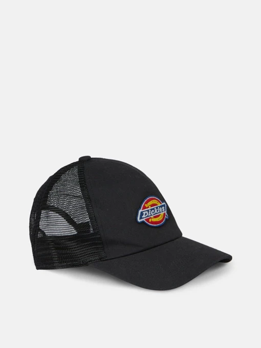 Шапки и кепки Dickies Sumiton Trucker модель DK0A4XYGBLK1 Фото